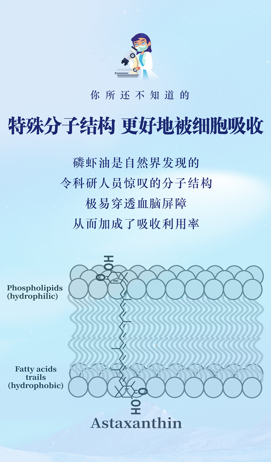 南极海宝特殊的分子结构